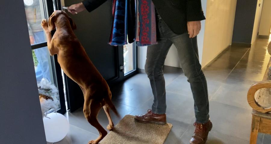 Trucs de Wouf: L'accueil des invités