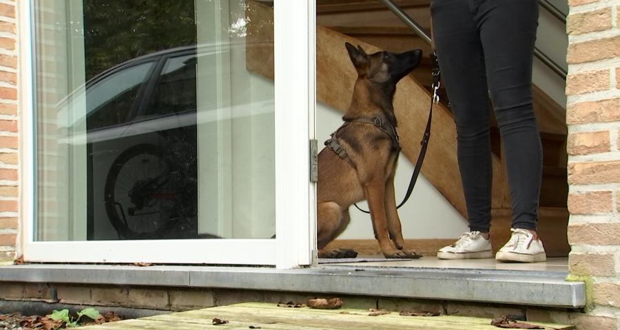 Trucs de Wouf: 3 apprentissages essentiels