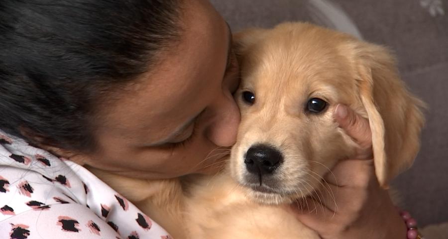 Trucs de Wouf: accueillir son chiot