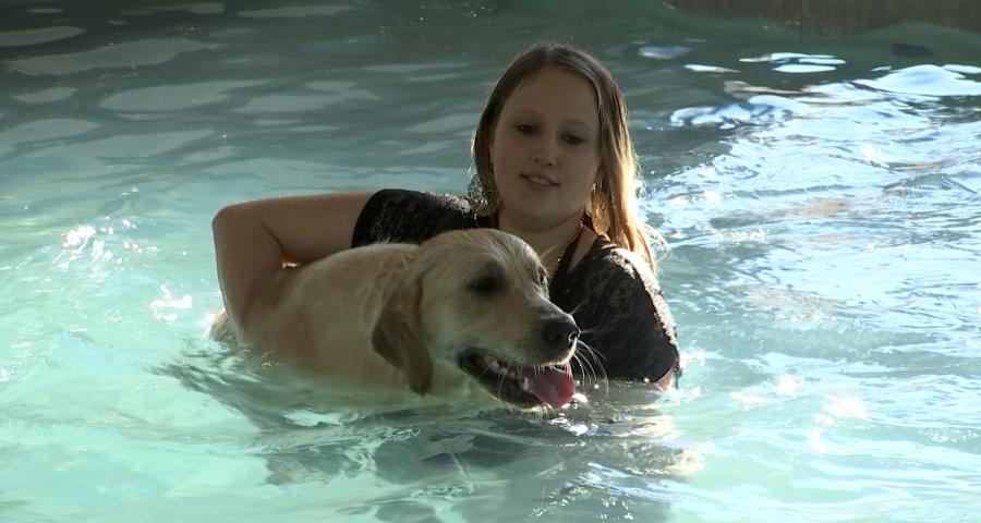 Trucs de Wouf: découverte du centre Aqua-Dog