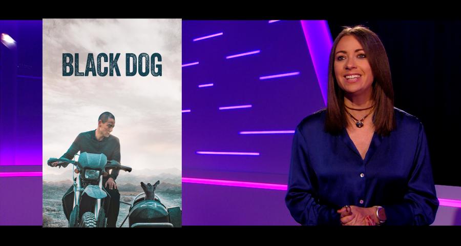 Cut! Du combat féministe au tueur maladroit