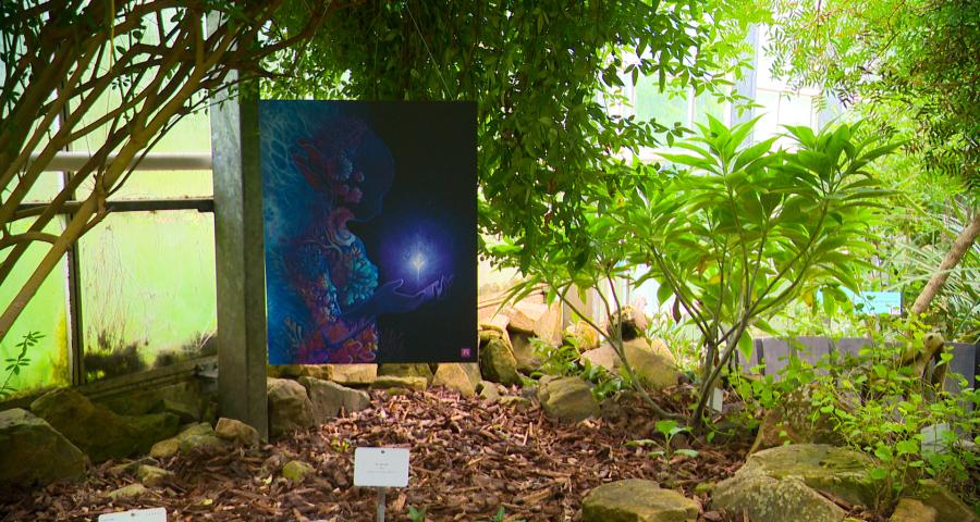 12 artistes exposent à l'Observatoire du Monde des Plantes