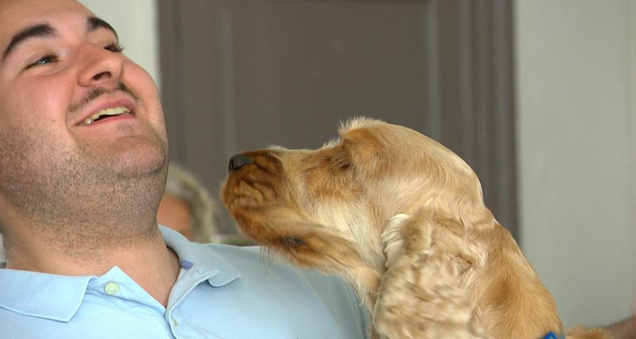 Vaincre la peur des chiens avec ID Pattes