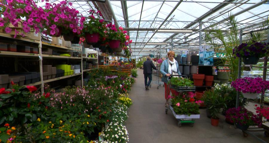 Horticulture : la saison bat son plein