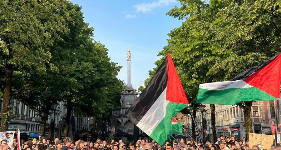 Des centaines de personnes rassemblées face au Perron en faveur de la Palestine