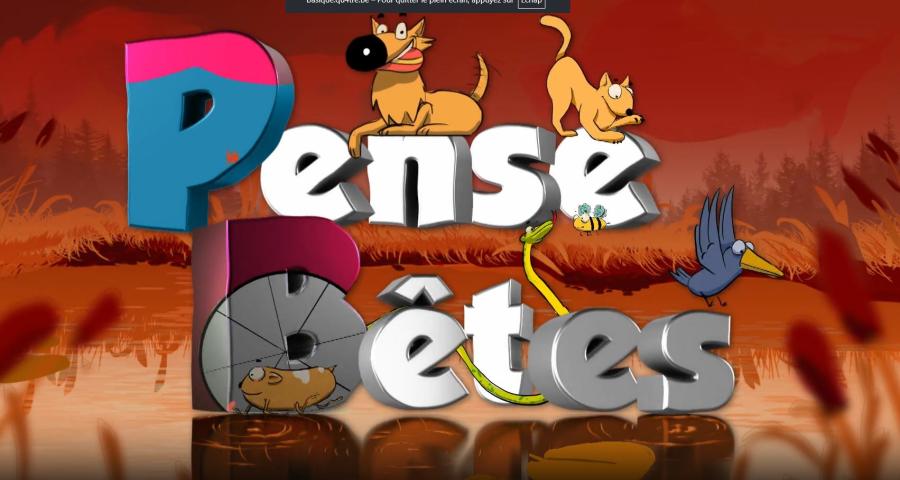 Pense bêtes