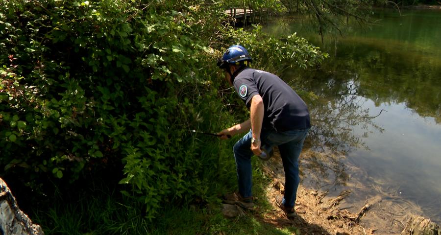 A la recherche d'un caïman au lac de la Gravière Brock