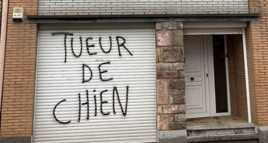 Chien traîné par une voiture : la maison de son propriétaire incendiée