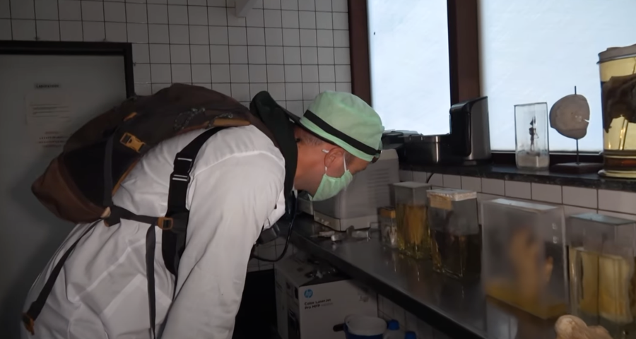 Deux hommes s'introduisent dans l'institut médico-légal de Liège: l'ULiège dépose plainte