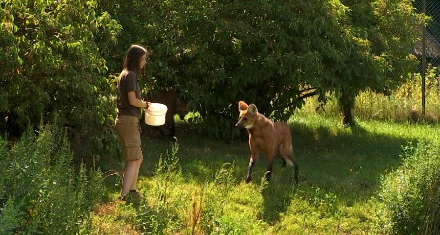 Métier passion : soigneuse dans un parc animalier