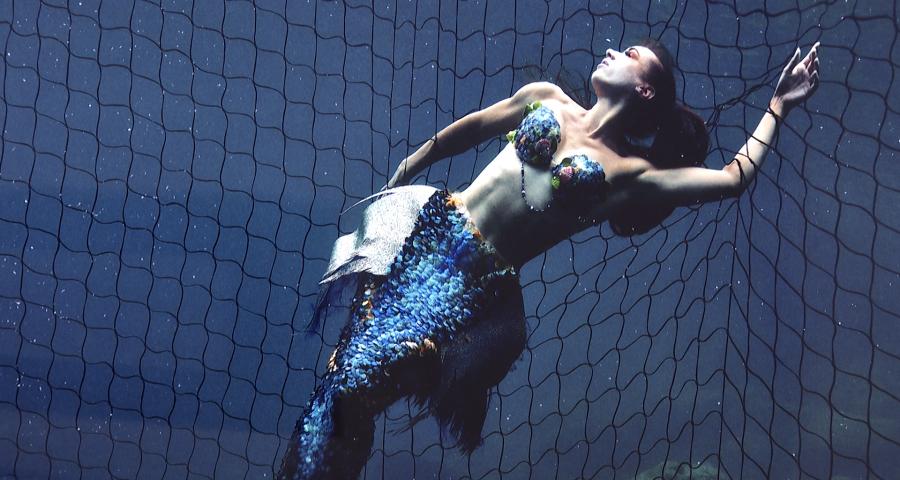 "Plastic Sushi" de Harry Fayt à la Buronzu Gallery