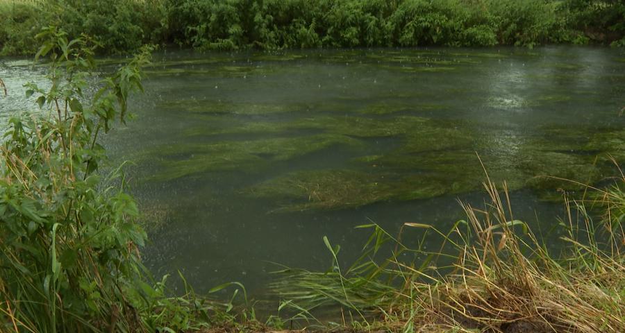 Le niveau du Geer anormalement haut inquiète les riverains