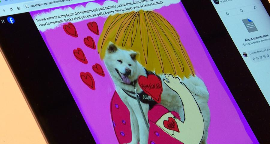 Des histoires illustrées pour aider à l'adoption d'un chien