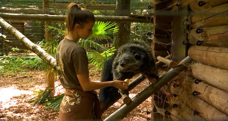 Monde Sauvage : les coups de coeur d'Abélia