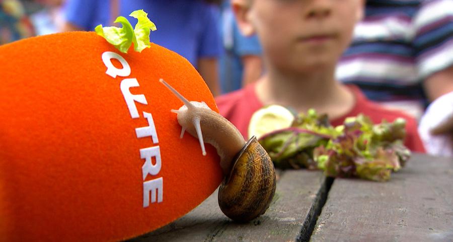Les escargots font le show pour la fête nationale