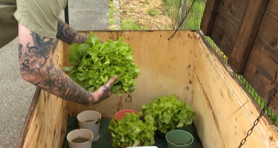 À Oupeye, des légumes en libre-service en échange d'un euro