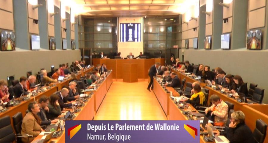 Questions parlementaires de la Région wallonne