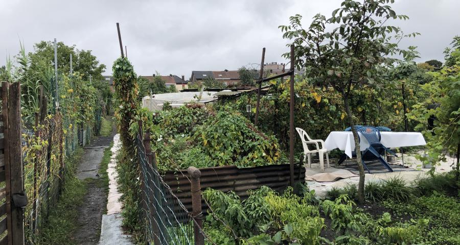 Journée du Patrimoine : le plus grand potager communautaire de Wallonie