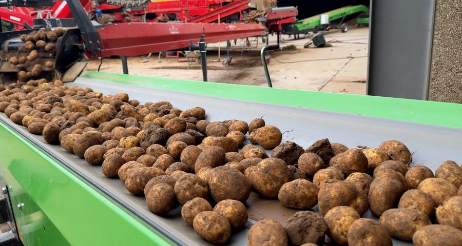 La famille Comijn ouvre son premier magasin à Verlaine