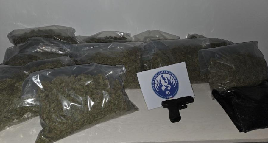 Tilleur : 2 interpellations et 200 plants de cannabis saisis