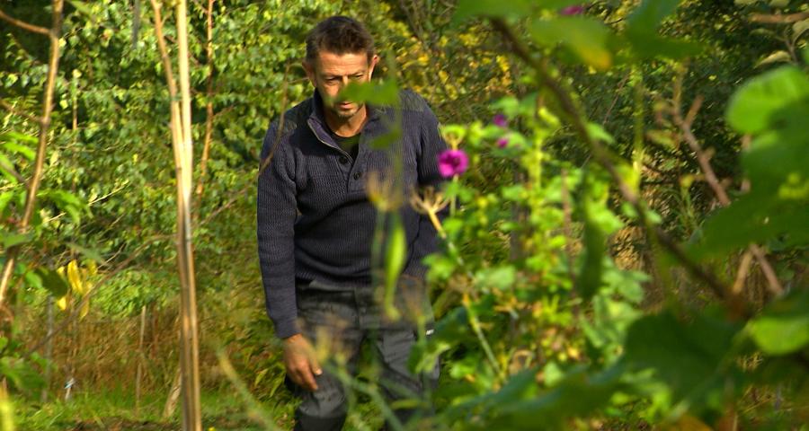 Festival des Jardins Forêts : 2 sites liégeois participent