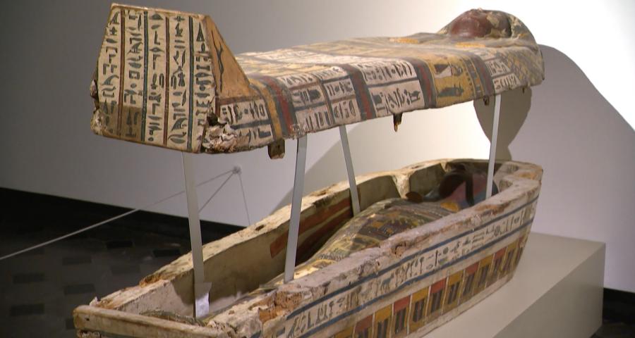 Curtius : les Trésors cachés de l'I.A.L.