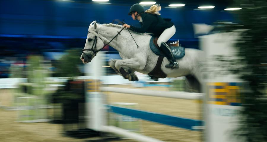 Sport équestre : Le Jumping International de la Province de Liège à Liège Expo !