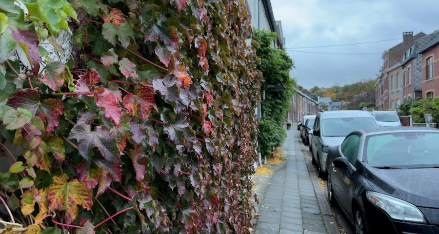 Huy encourage la végétalisation des façades