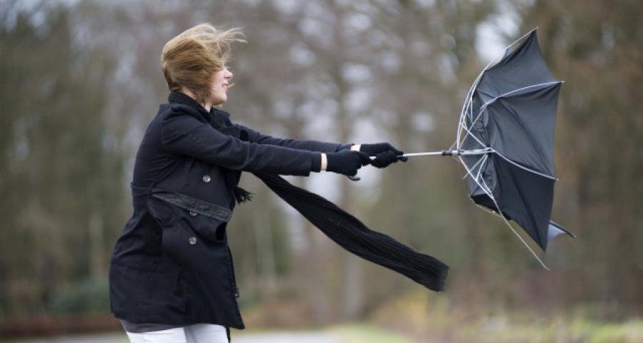 Fortes rafales de vent attendues ce jeudi. Les communes prennent des mesures