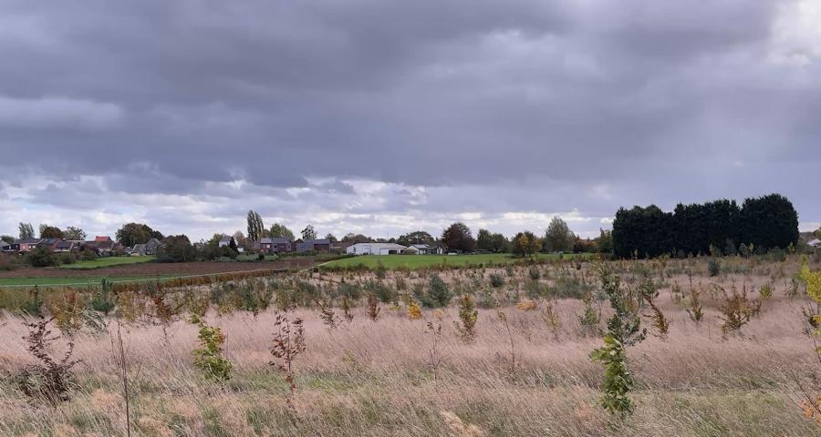 Crisnée: végétaux, au rapport !