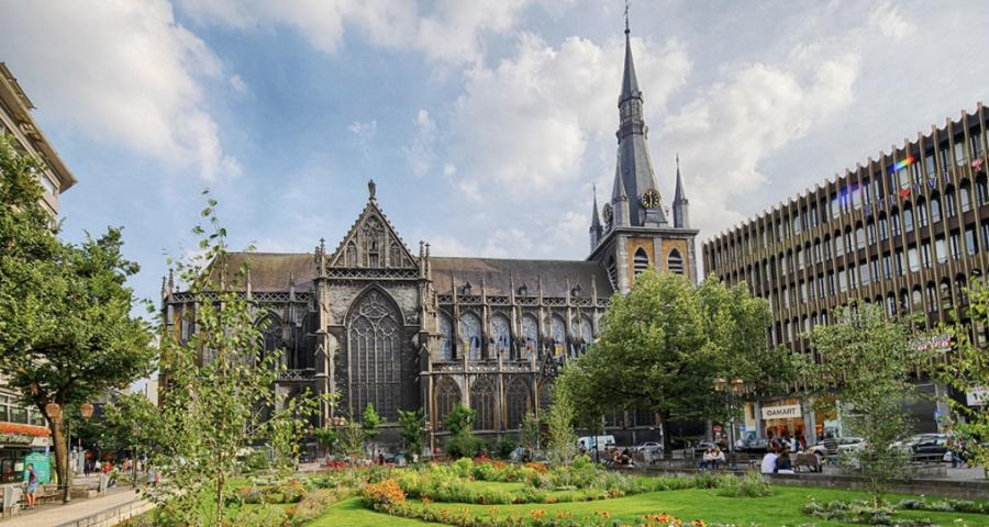 Cathédrale Saint-Paul : un chantier d’envergure pour un lieu emblématique