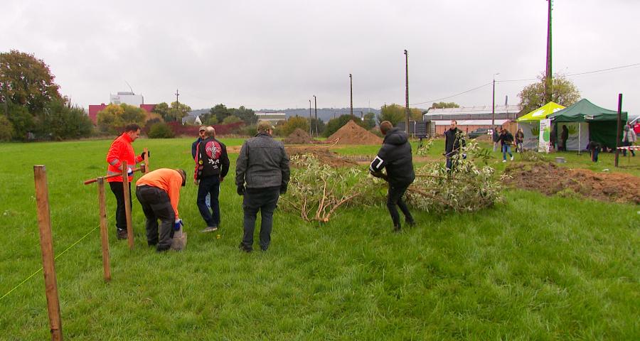 Le premier Labyrinthe nourricier de Belgique voit le jour à Herstal