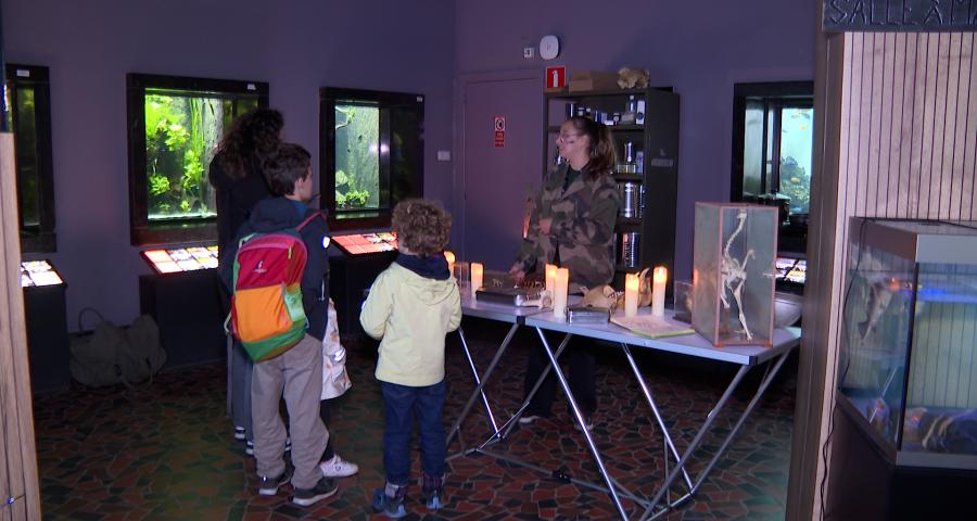 Halloween à l'aquarium de Liège