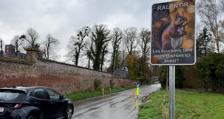 Grâce-Hollogne : des panneaux pour protéger les écureuils