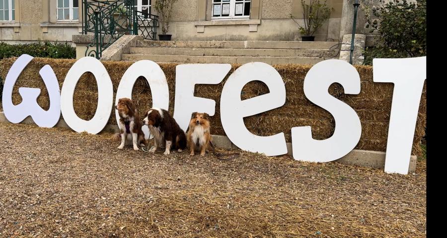 Woofest, un rendez-vous incontournable