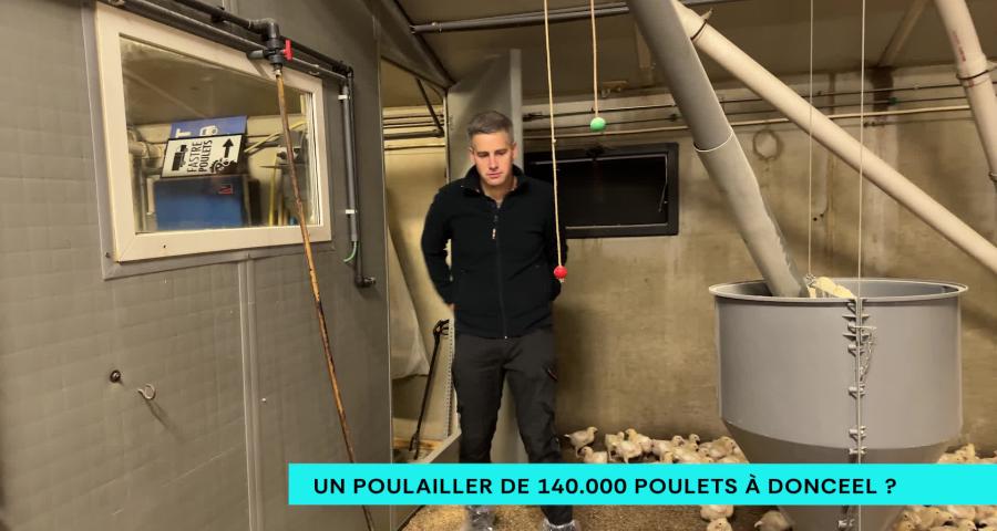 Un poulailler de 140.000 poulets à Donceel ?