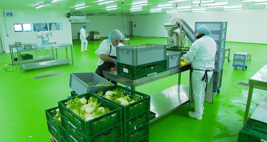 Premier hub alimentaire dédié aux circuits courts à Liège