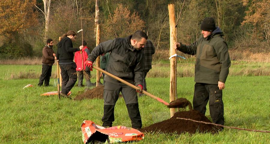 Vivegnis: Plantation d'un verger conservatoire à la réserve du Vivier
