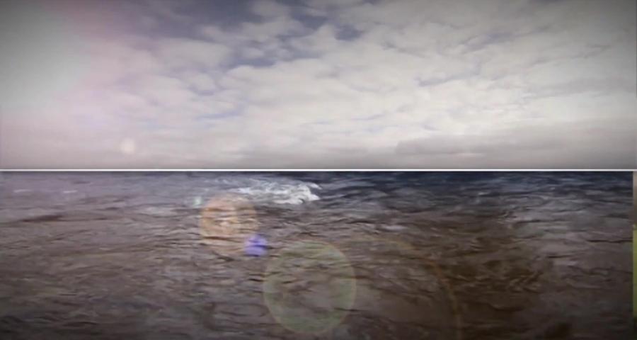 Rat des villes, rat des champs