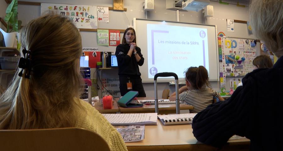 Des élèves de Couthuin organisent une récolte pour les animaux