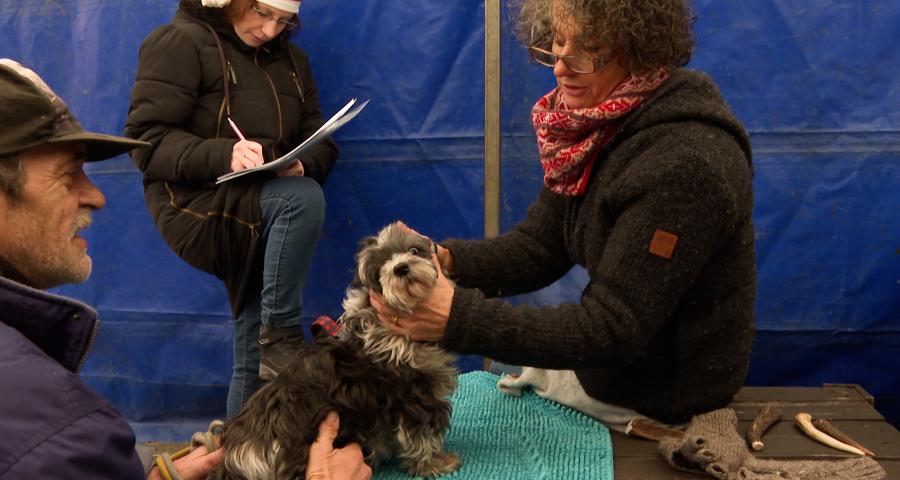 Resto du Coeur : un Noël solidaire pour tous, même les animaux