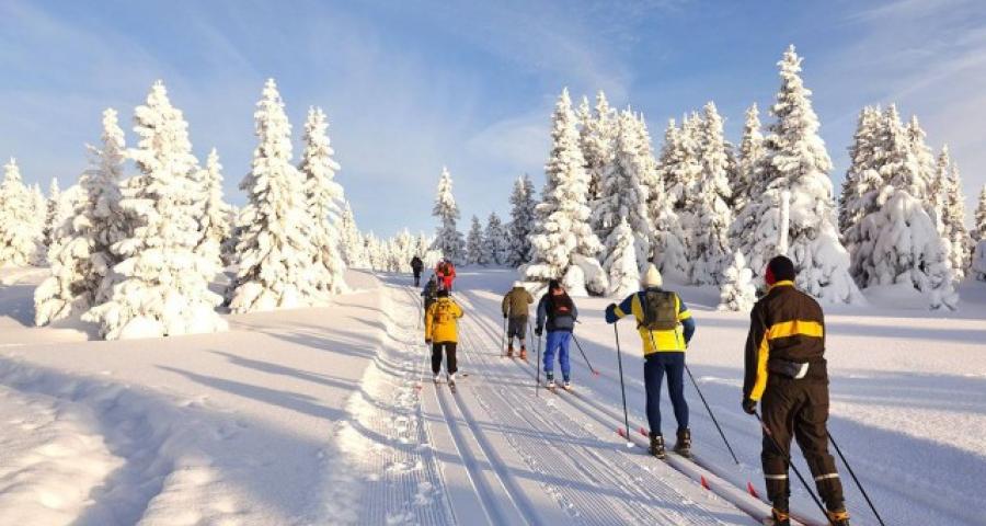 Neige : ski alpin, ski de fond, luge... les pistes sont ouvertes !
