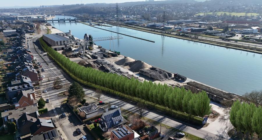Flémalle : les peupliers du port vont être abattus