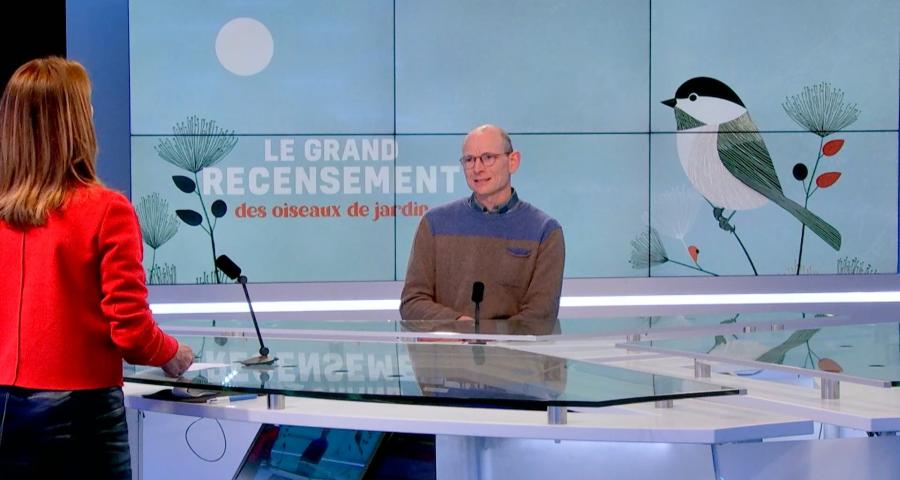 Comptez les oiseaux dans votre jardin avec Natagora