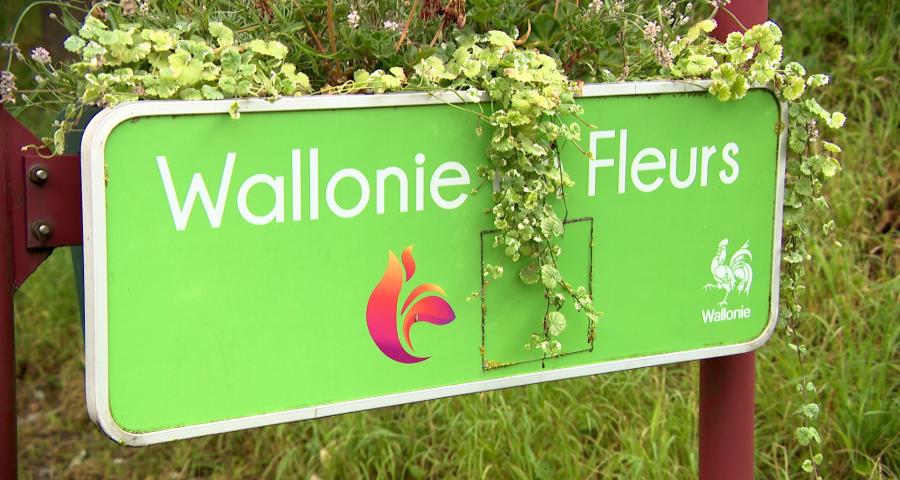Label Wallonie en Fleurs 2025 : 4 communes liégeoises récompensées