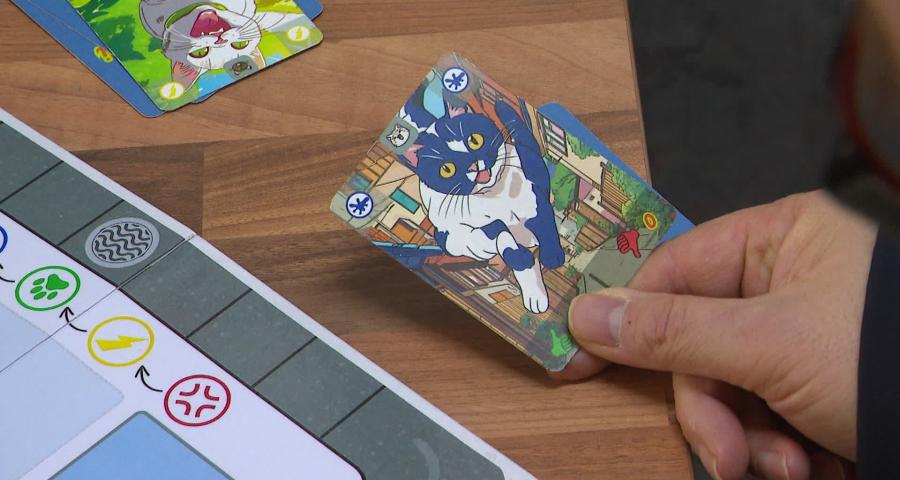 Premier Festival Liégeois du Jeu de Société ces 7 et 8 mars 2026