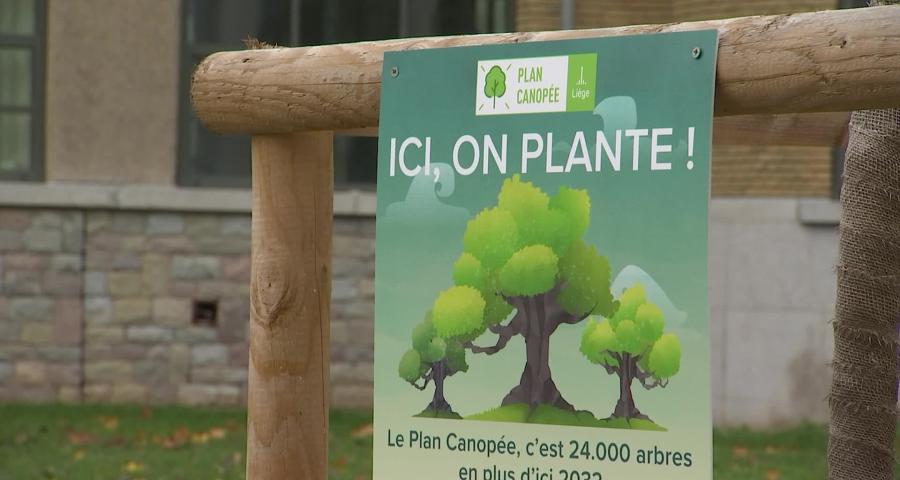 Plan Canopée : Plantation du 5 000e arbre dans l'espace public