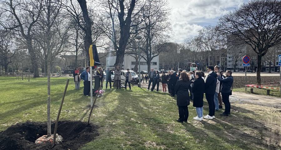 Inauguration d'un arbre pour le don d'organes