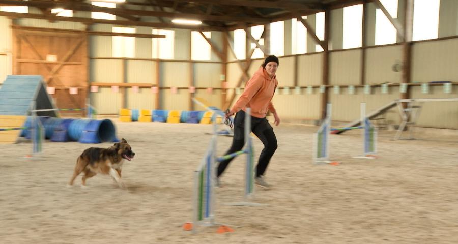 L'agility