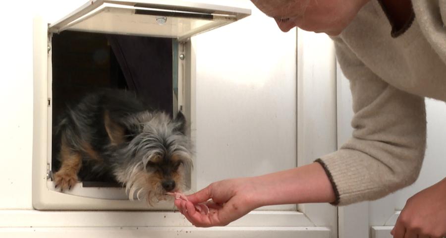 La peur de la chatière